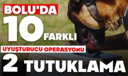 Bolu'da 10 farklı uyuşturucu operasyonu: 2 tutuklama