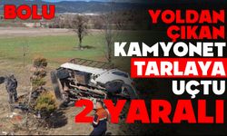 Yoldan çıkan kamyonet tarlaya uçtu: 2 yaralı