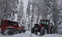 Düzce'nin yüksek kesimleri beyaza büründü