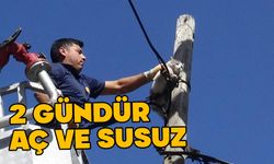 Bolu'da 2 gündür aç olan kedi kurtarıldı