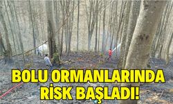 Bolu Ormanlarında Risk Başladı!