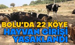 Bolu'da 22 köye hayvan girişi yasaklandı