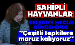 SAHİPLİ HAYVANLAR BELEDİYE MECLİS GÜNDEMİNDE