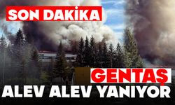 Bolu’da Gentaş alev alev yanıyor