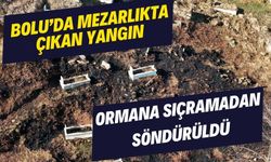 Mezarlıkta çıkan yangın ormana sıçramadan söndürüldü