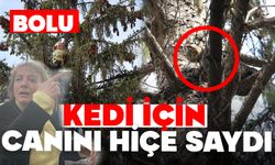 KEDİ İÇİN CANINI HİÇE SAYDI