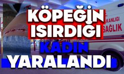 Köpeğin ısırdığı kadın yaralandı