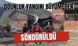 Odunluk yangını büyümeden söndürüldü