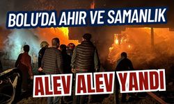 Bolu’da ahır ve samanlık alev alev yandı