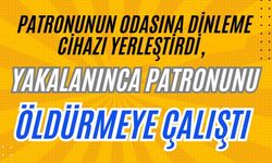 Patronunun odasına dinleme cihazı yerleştirdi, yakalanınca patronunu öldürmeye çalıştı