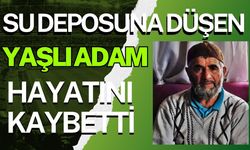 Su deposuna düşen yaşlı adam hayatını kaybetti