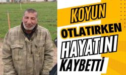 Koyun otlatırken hayatını kaybetti