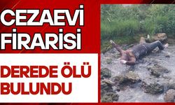 Cezaevi firarisi derede ölü bulundu
