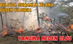 Bolu’da ormanlık alana düşen yıldırım yangına neden oldu