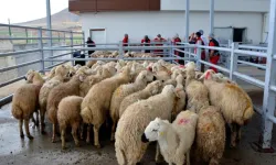 Kurban Hizmetlerinin Uygulanmasına Dair Tebliğ, Resmi Gazete'de