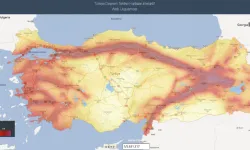 AFAD paylaştı: Türkiye'de toplam 485 diri fay segmenti bulunuyor