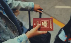 Türkler neden vize alamıyor: Canlı yayında tek tek açıkladı