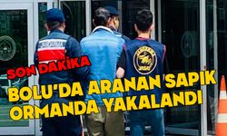Bolu'da aranan sapık ormanda yakalandı