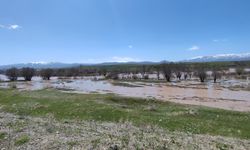 Ağrı'da Murat Nehri taştı araziler sular altında kaldı