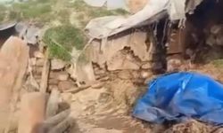 Kars'ta ahır çöktü: Büyükbaş hayvanlar telef oldu