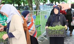Başkan Çolakbayrakdar'dan organik domates fidesi dağıtımına davet