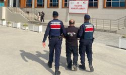 Yalova'da 16 yıl hapisle aranan hükümlü yakalandı