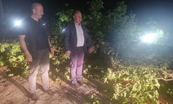 Arhavi Belediye Başkanı Ataselim, fırtına sonrası açıklama yaptı