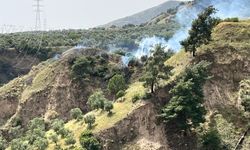 Aydın’da zirai alan yangını