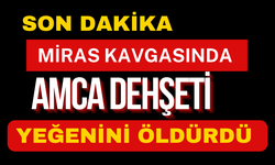 Amca yeğenini öldürdü