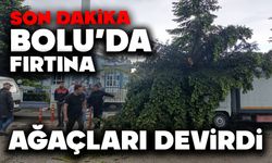 Bolu’da fırtına ağaçları devirdi