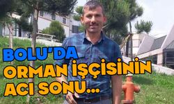 Bolu'da orman işçisinin acı sonu