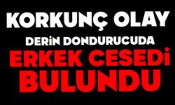 Derin dondurucularda bulunan poşetlerden erkek cesedi çıktı
