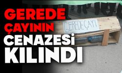 Gerede Çayı'nın "Cenazesi" Kılındı: Çevre Mücadelesinde Sembol Eylem