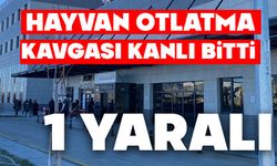 Havyan otlatma kavgası kanlı bitti: 1 yaralı