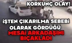 İşten çıkartılma sebebi olarak gördüğü mesai arkadaşını bıçakladı