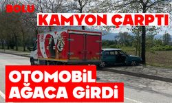 Kamyon çarptı, otomobil ağaca girdi