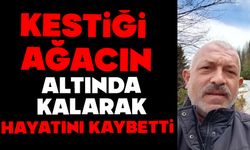 Kestiği ağacın altında kalan adam hayatını kaybetti