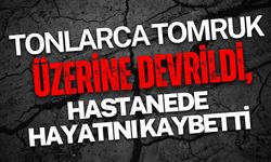 Tonlarca tomruk üzerine devrildi, hastanede hayatını kaybetti