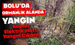 Bolu’da Ormanlık Alanda Yangın: Kopan Elektrik Hattı Yangın Çıkardı