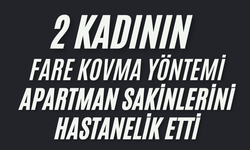 iki kadının "fare kovma" yöntemi apartman sakinlerini hastanelik etti