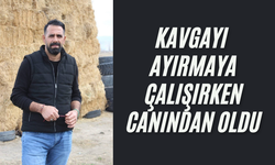 Kavgayı ayırmaya çalışırken canından oldu