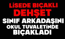 Lisede bıçaklı dehşet: Sınıf arkadaşını okul tuvaletinde bıçakladı