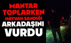 Mantar toplarken yabani hayvan sandığı arkadaşını av tüfeğiyle vurdu