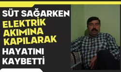 Süt sağarken elektrik akımına kapılarak hayatını kaybetti