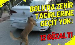 Bolu'da zehir tacirlerine geçit yok: 12 gözaltı