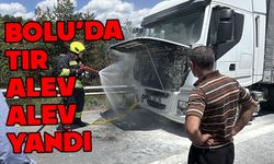 Bolu'da tır alev alev yandı