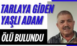 Tarlaya giden yaşlı adam ölü bulundu