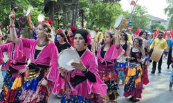 Bartın'da 'Çilek Festivali' 12 yıl aradan sonra yeniden başladı