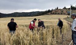 Dolunun vurduğu Esençay’da hasar tespiti yapıldı