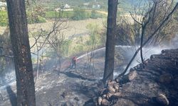 Hatay’daki orman yangını söndürüldü